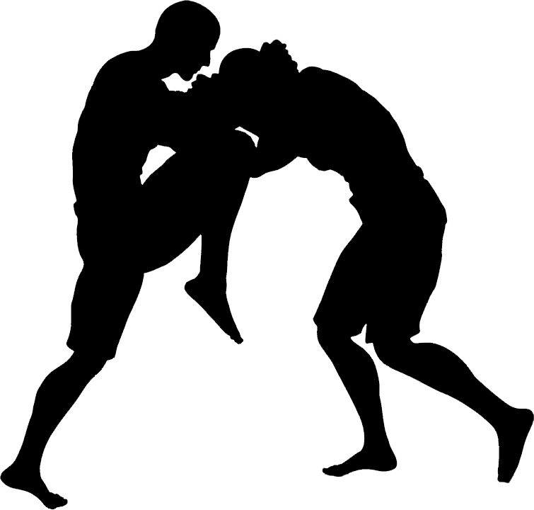 Best-wrestling-classes-in-chennai-mma360degree